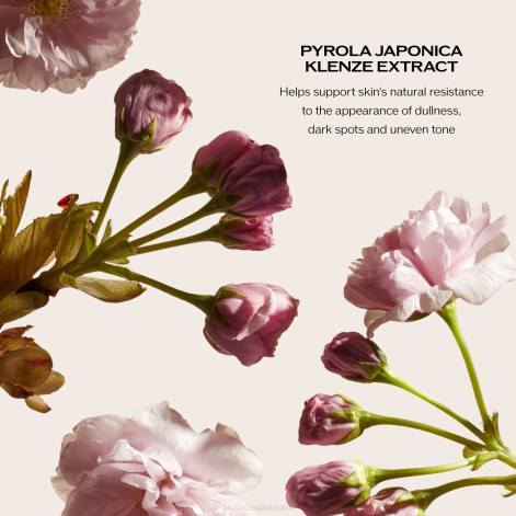 hudpleje Z88213 natcreme og maske Shiseido