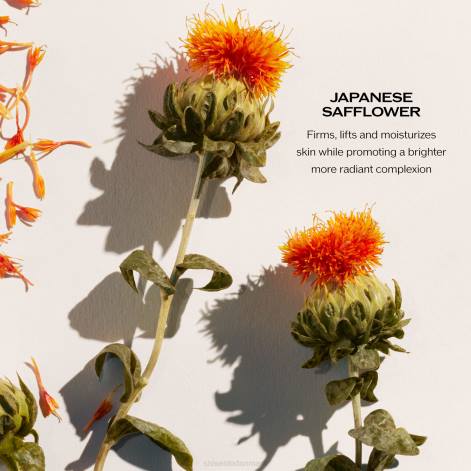 hudpleje Z88222 opløftende og opstrammende dagcreme spf 30 Shiseido