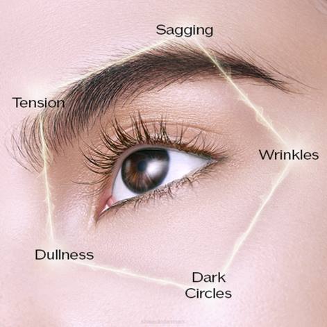 hudpleje Z88245 legendarisk enmei ultimate brilliance øjencreme Shiseido