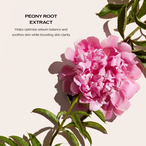 hudpleje Z88237 dybderensende skum (til fedtet til uren hud) Shiseido