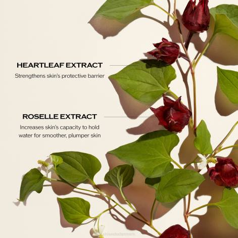 hudpleje Z88274 kraftinfunderende serum refill Shiseido